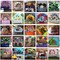 12ft Balloon Arch Kit for Table - Birthday, Party, Wedding, Graduation, Christmas, Baby Shower, and Bachelor Party Decorations